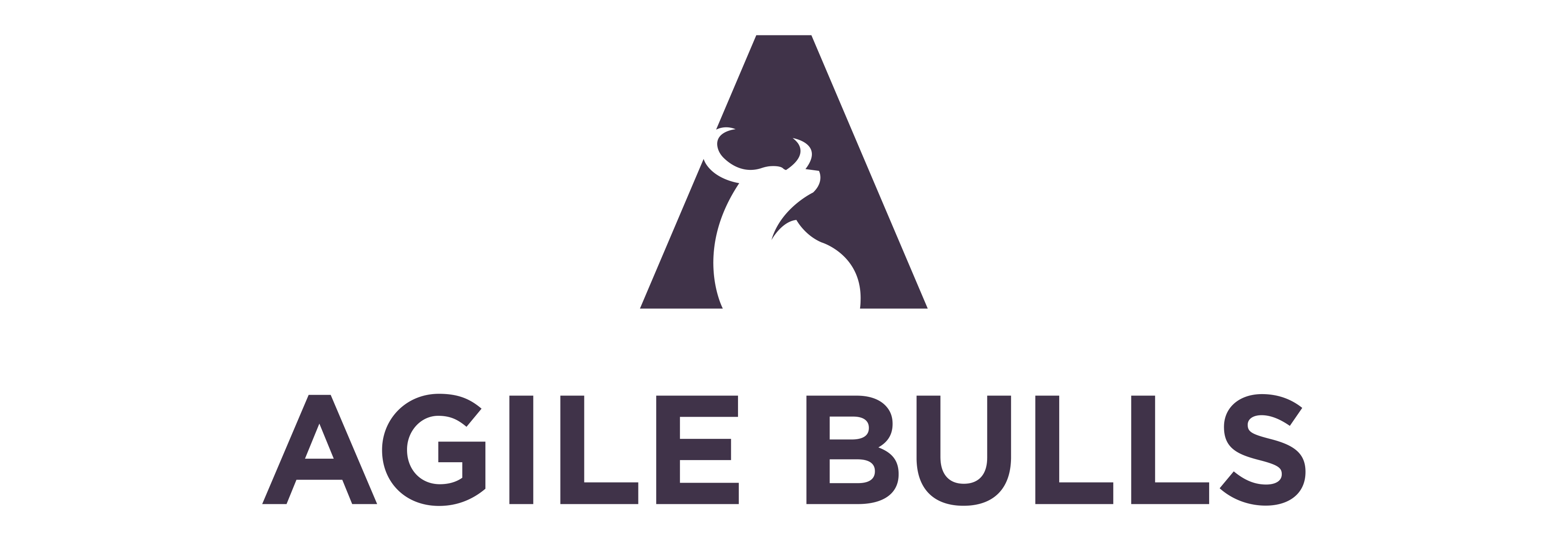 Agile Bulls